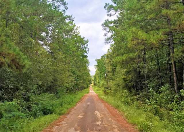 Property at Lot 1 Friar Tuck Dr N, Woodville, TX 75979