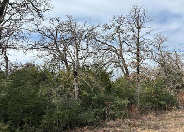Property at Lot 64 Shadow Oaks Dr, Bastrop, TX 78602