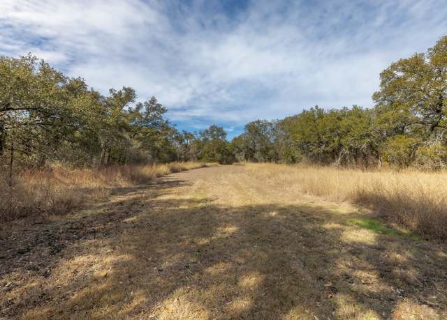 Property at 3547 W State Highway 29, Bertram, TX 78605