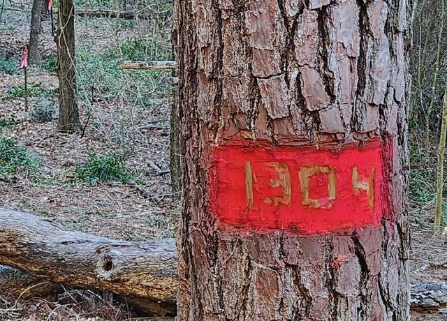 Property at TBD - Lot 1304 Hanauma Dr, Bastrop, TX 78602