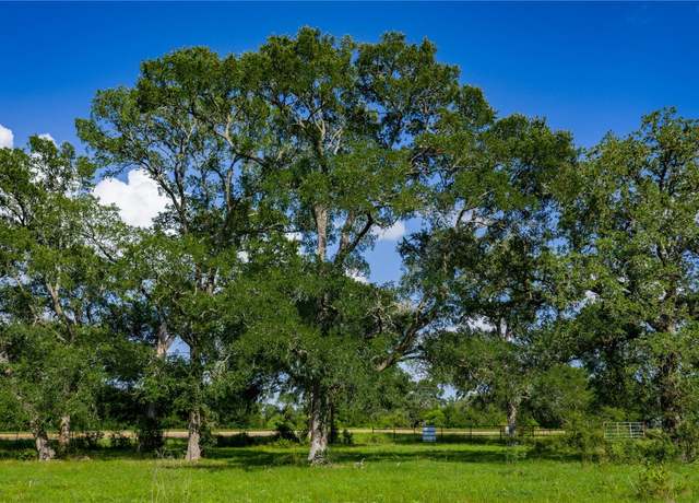 Property at TBD Fm 2104, Smithville, TX 78957