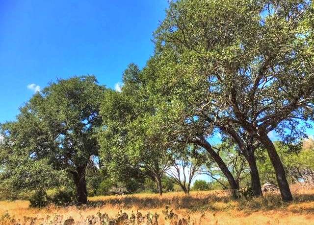 Property at 2W Tract 2 County Road 2200, Lometa, TX 76853