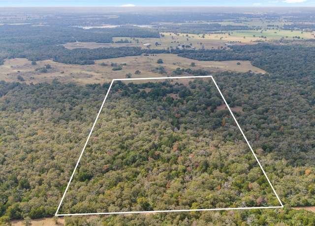 Property at TBD County Rd #415, Lexington, TX 78947