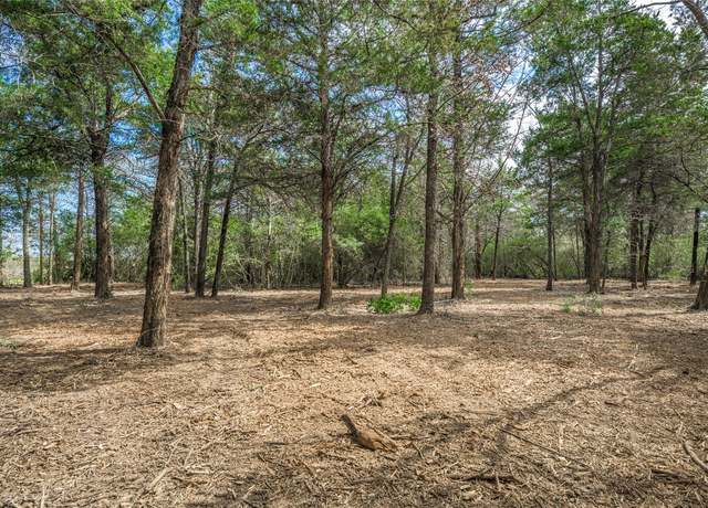 Property at TBD (LOT 1) Independence St, Carmine, TX 78932