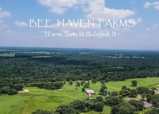 Property at TBD County Road 315 (7.0 Acres), Caldwell, TX 77836