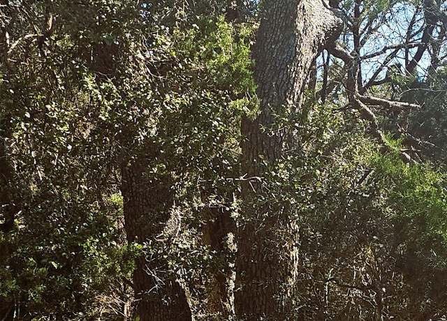 Property at 1101 Ridge Oak Dr, Wimberley, TX 78676