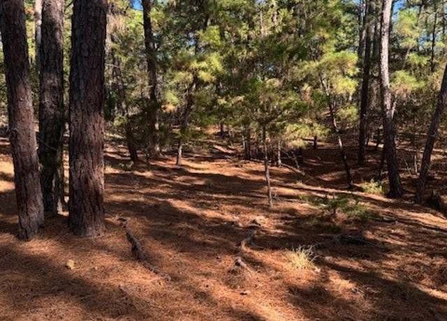 Property at Lot 1395 Kaupa Ct, Bastrop, TX 78602
