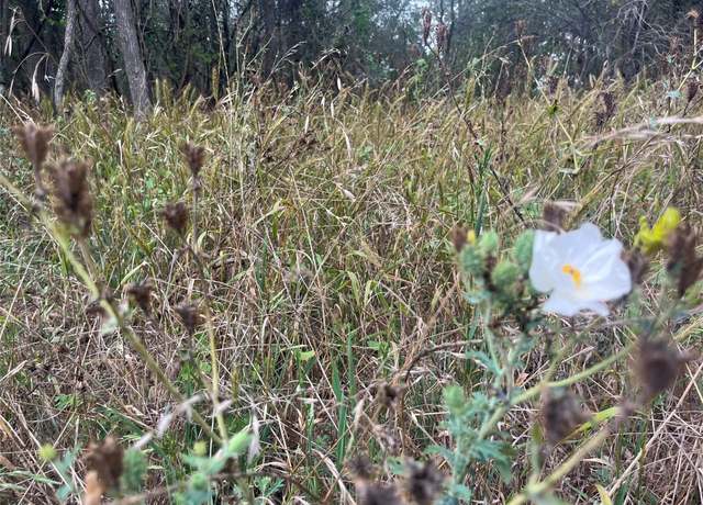Property at 000 Kaaawa Ln #5, Bastrop, TX 78602