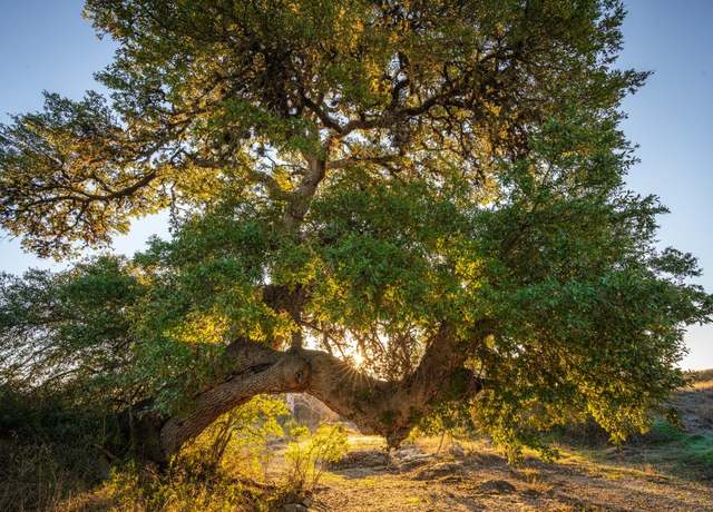 Property at 000 Ranch Road 12, Dripping Springs, TX 78620