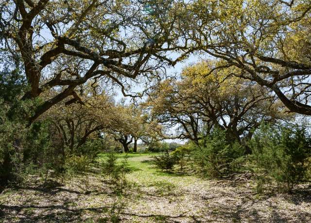 Property at 1440 Stone Ridge Mountain Dr, Round Mountain, TX 78663