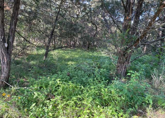 Property at Lot 423 Indian Summer, Spicewood, TX 78669