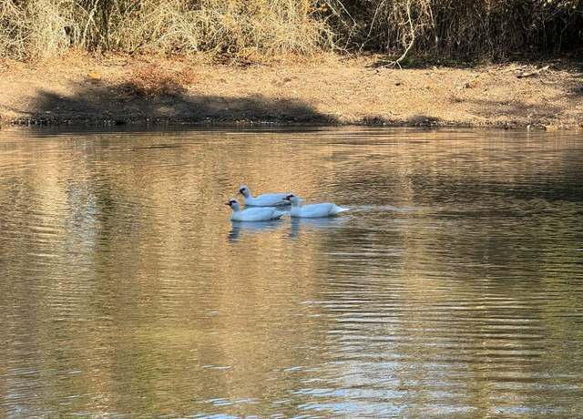 Property at 8405 Taylorsville Rd, Dale, TX 78616