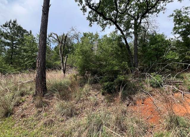 Property at Lot 1671 TBD Moku Ct, Bastrop, TX 78602