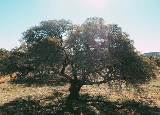Property at 268 Kinnikinik Lot 11 Loop, Austin, TX 78737