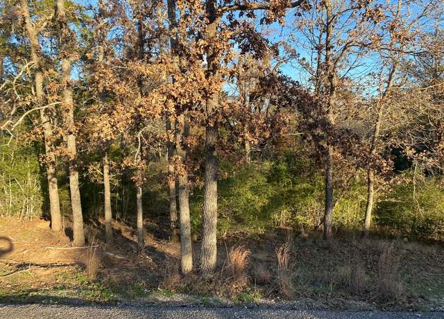 Property at 0 N Pohakea Dr, Bastrop, TX 78602
