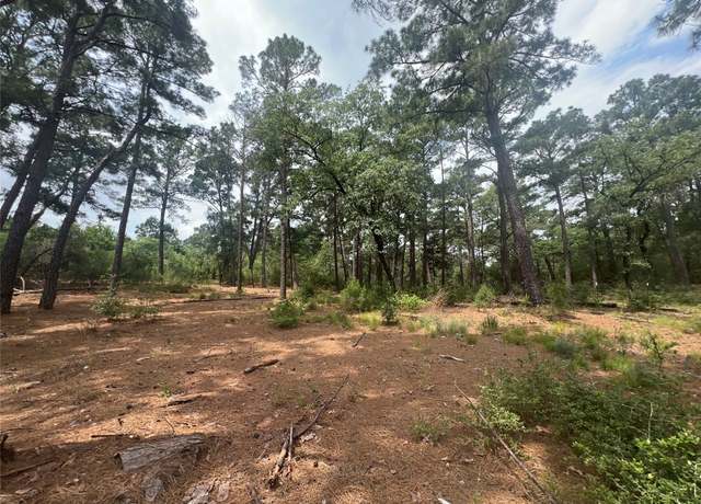 Property at Lot 91 N Hill Ridge Rd, Bastrop, TX 78602