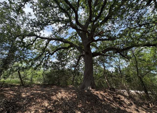 Property at 694 Brite Rd, Lockhart, TX 78644, 2 beds, 2 baths