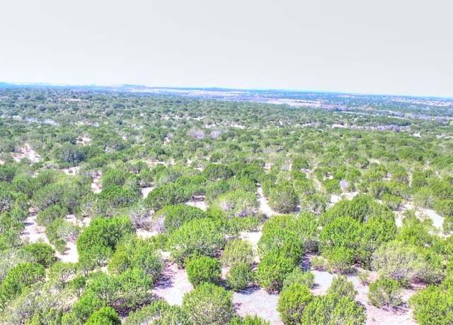 Property at 2W Tract 4 County Road 2200, Lometa, TX 76853