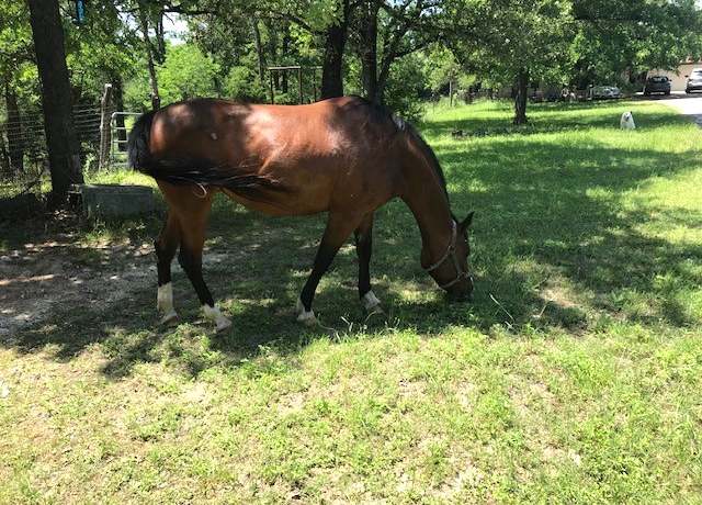 Property at 298 Jenkins Rd, Cedar Creek, TX 78612, 4 beds, 2.5 baths