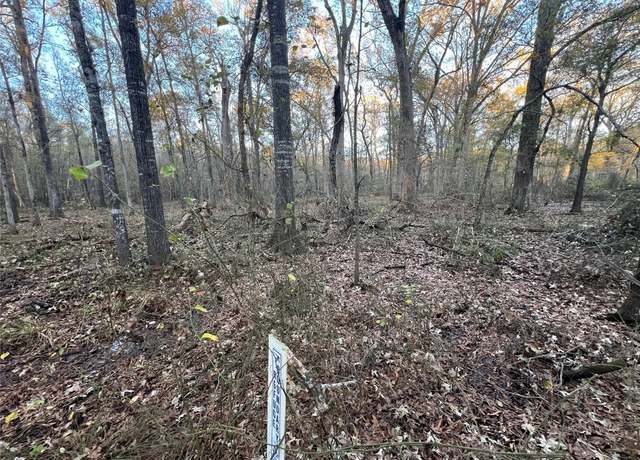 Property at 0 An County Road 354, Palestine, TX 75801