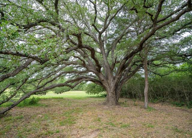 Property at TBD Fm 713 Hwy, Rosanky, TX 78953