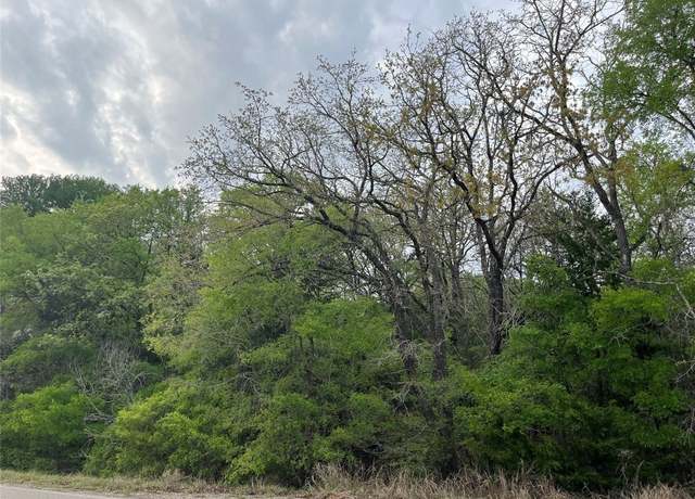Property at 162 & 164 W Kaanapali Ln, Bastrop, TX 78602