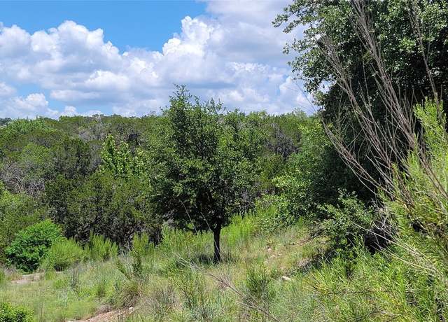 Property at 3004 & 3006 Constitution Dr, Lago Vista, TX 78645