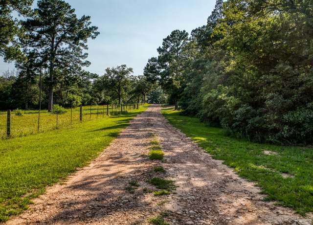 Property at TBD (15.682 Acres) Stockade Ranch Rd, Paige, TX 78659