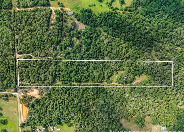 Property at TBD (+/- 15 Acres) County Road 316, Caldwell, TX 77836