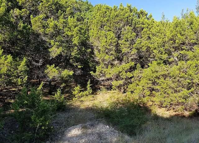 Property at 21003 Stone Cliff Dr, Lago Vista, TX 78645
