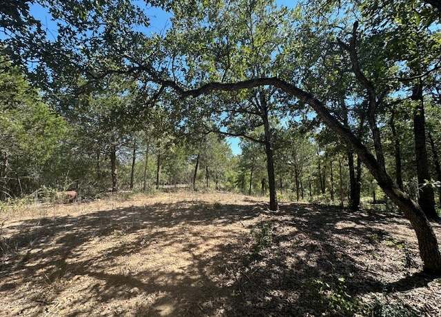 Property at 0 TBD lot 103 Ripple Brook Dr, Bastrop, TX 78602