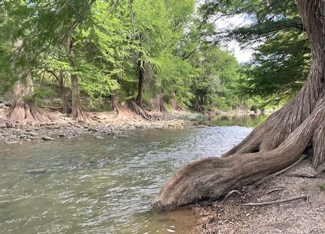 Property at Lot 248 & 247 River Forest Dr, Bergheim, TX 78004