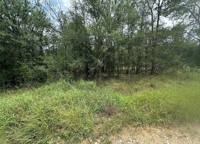 Property at 187 Puu Waa Waa Ln, Bastrop, TX 78602