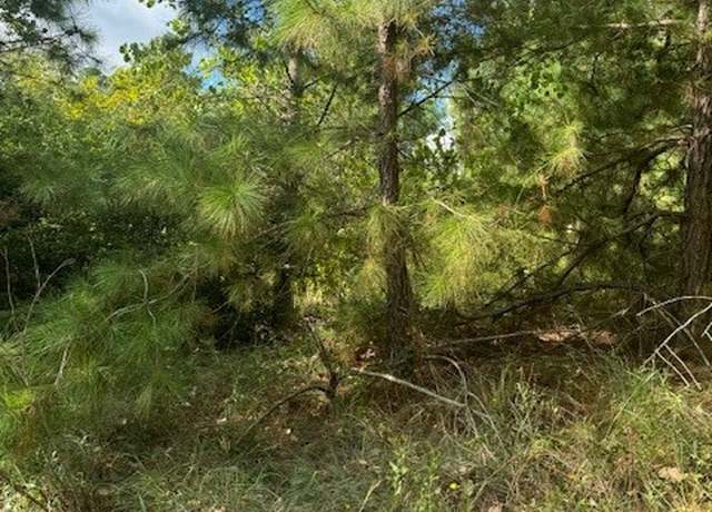 Property at Lot 1338 Tahitian Dr, Bastrop, TX 78602