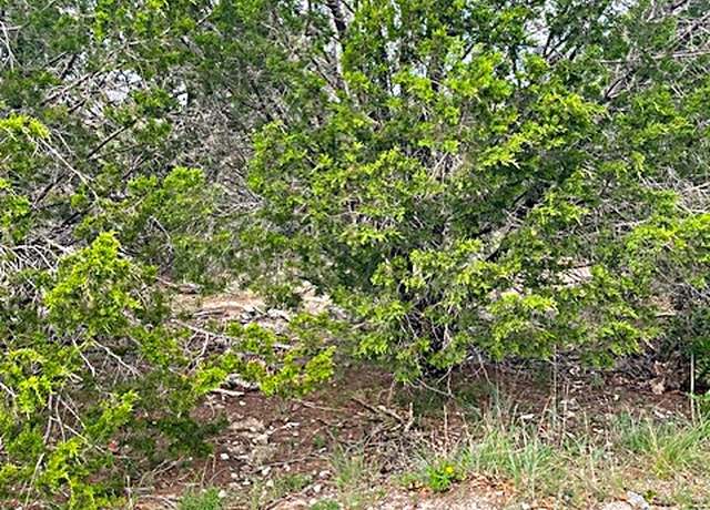 Property at 3226 Eisenhower Ave, Lago Vista, TX 78645