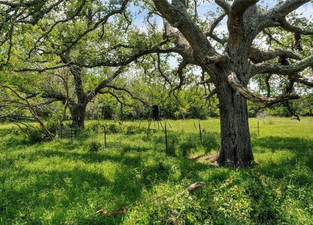 Property at 4207 County Road 444, Waelder, TX 78959