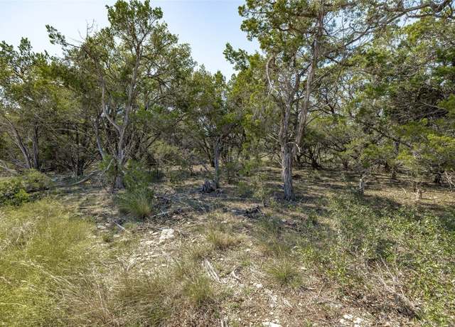 Property at TBD County Road 281 Lot 1, Leander, TX 78641