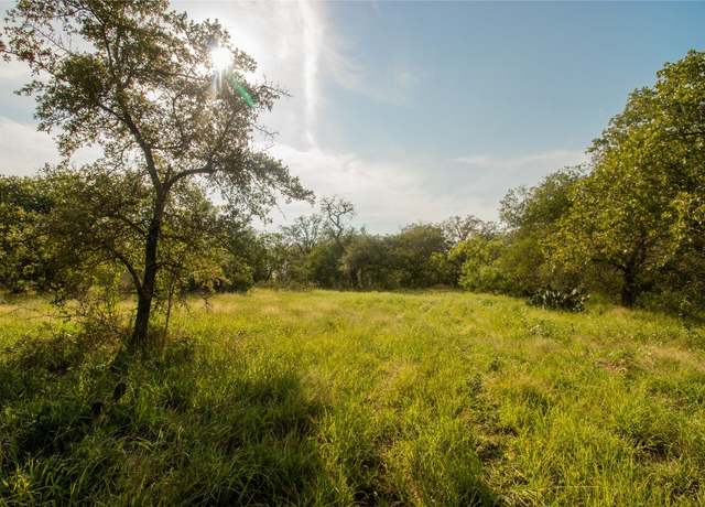 Property at 437 Firefly Field Ln, Seguin, TX 78155