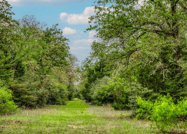 Property at TBD (349.84 Acres) County Road 125, Ledbetter, TX 78946