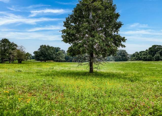 Property at 10610 County Road 322, Caldwell, TX 77836