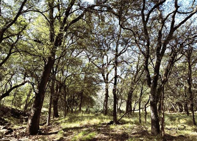 Property at TBD Lot 2 Sandy Mtn, Sunrise Beach, TX 78643
