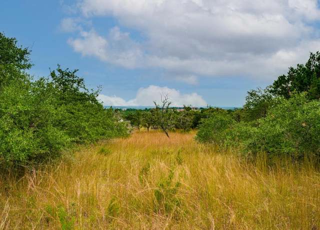 Property at 19.84 acres off Rr 12 & Mirela Anne, Dripping Springs, TX 78620