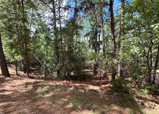 Property at Undisclosed address, Bastrop, TX 78602