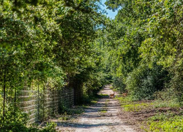Property at 511 Lcr 793, Groesbeck, TX 76642