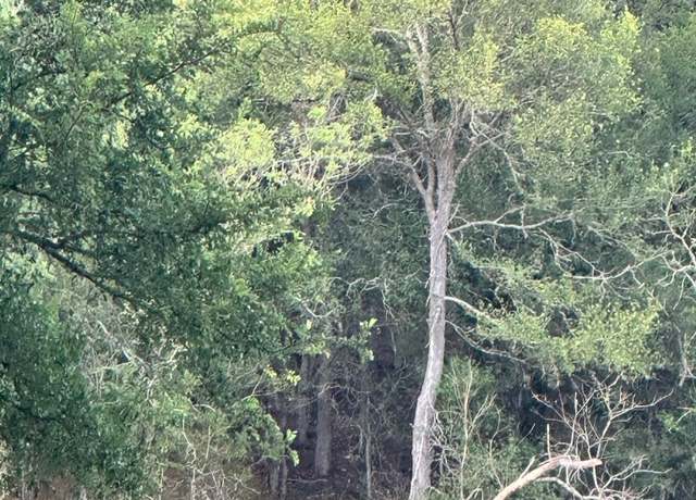 Property at lot 676 Kaukonahua Ln, Bastrop, TX 78602