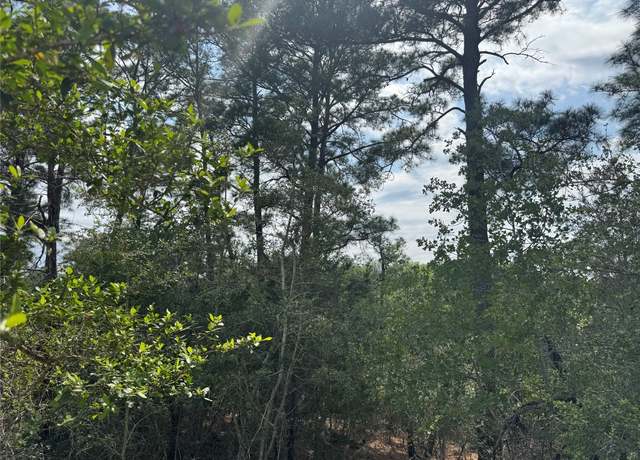 Property at Lots 1263, 1264, 1265 Hanauma Dr, Bastrop, TX 78602