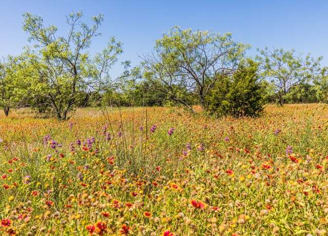 Property at 13.5ac County Road 3300, Kempner, TX 76539