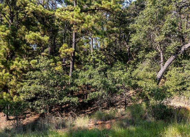 Property at 136 Lamaloa Ln, Bastrop, TX 78602