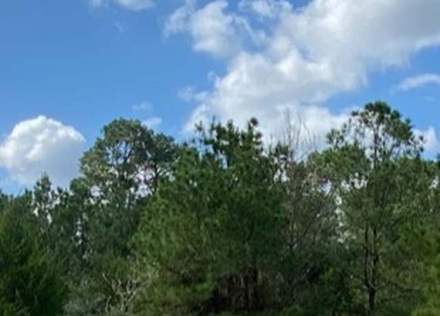 Property at 230 Cougar Park Rd, Hunt, TX 78024