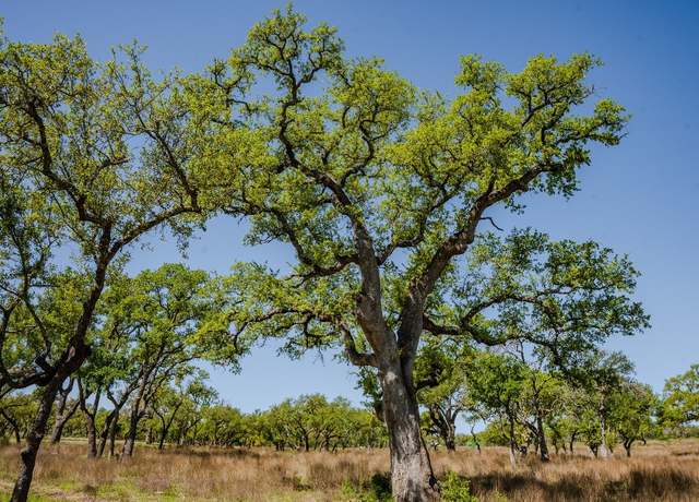 Property at 000 Little Creek Rnch, Johnson City, TX 78638